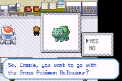 Pokemon - FireRed 251 (Hack)